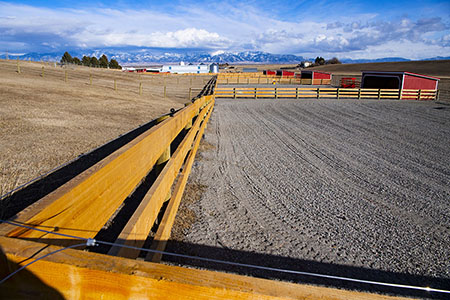 Horse Boarding Pasture View