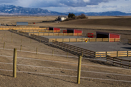 Horse Boarding Pastures And Drylots