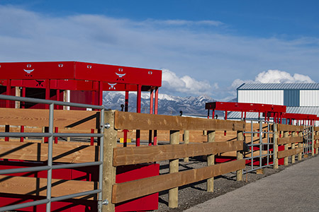 Horse Corral System