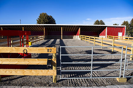 Horse Drylots Full View
