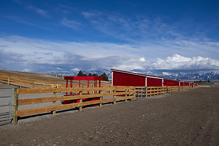 Horse Fenced Boarding Lots