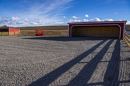 Horse Fenced Pastures