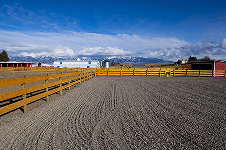 Horse Large Boarding Pastures