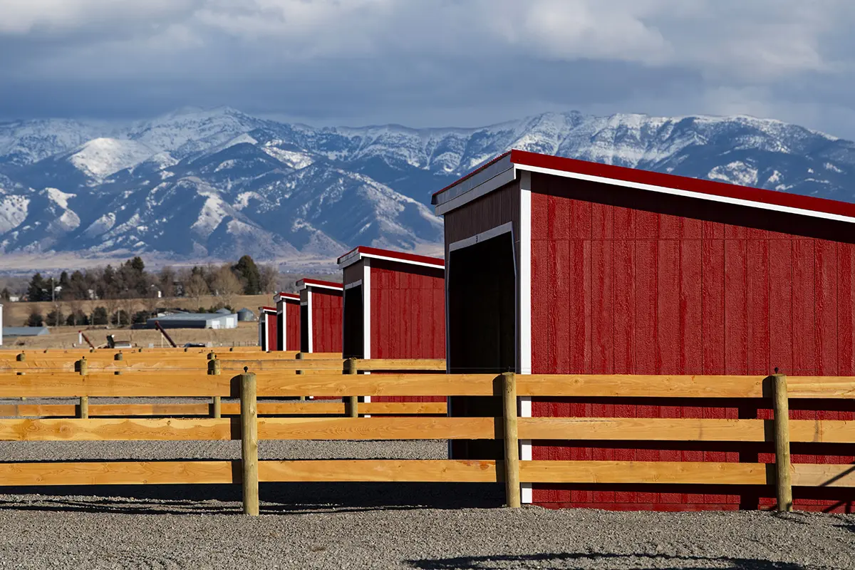 Horse Boarding Facility Near Me
