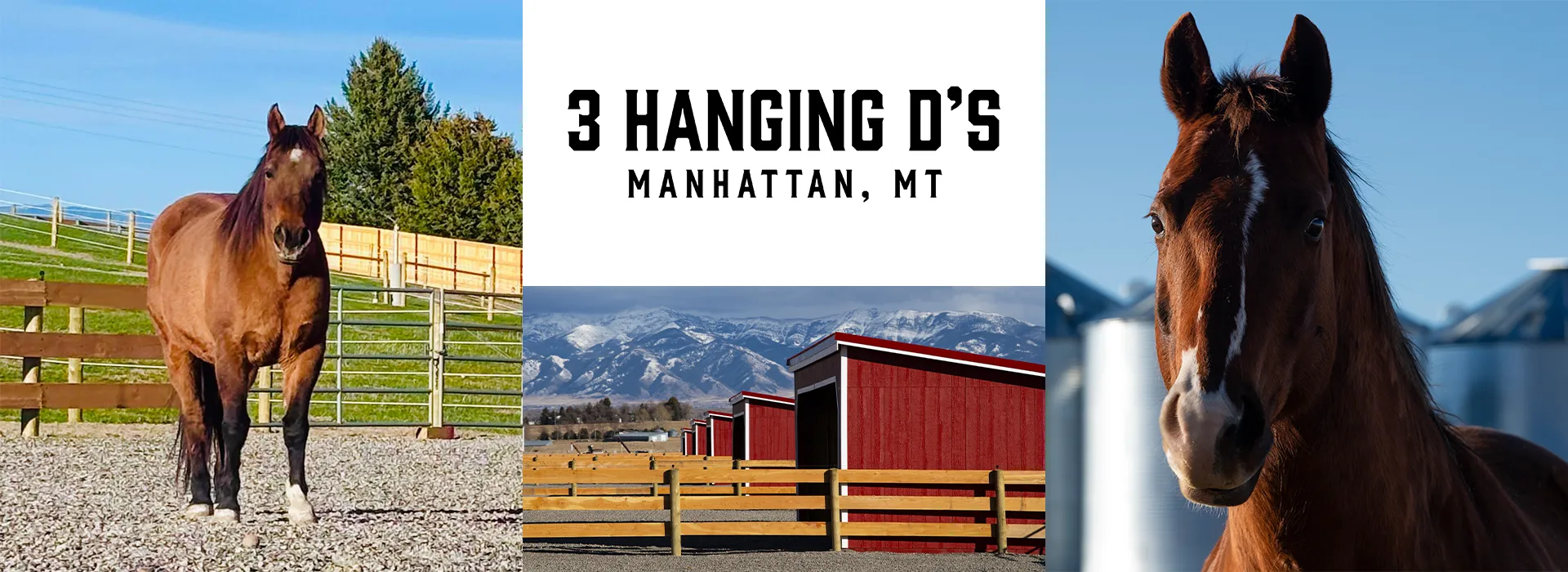 Three Hanging Ds Horse Boarding Facility